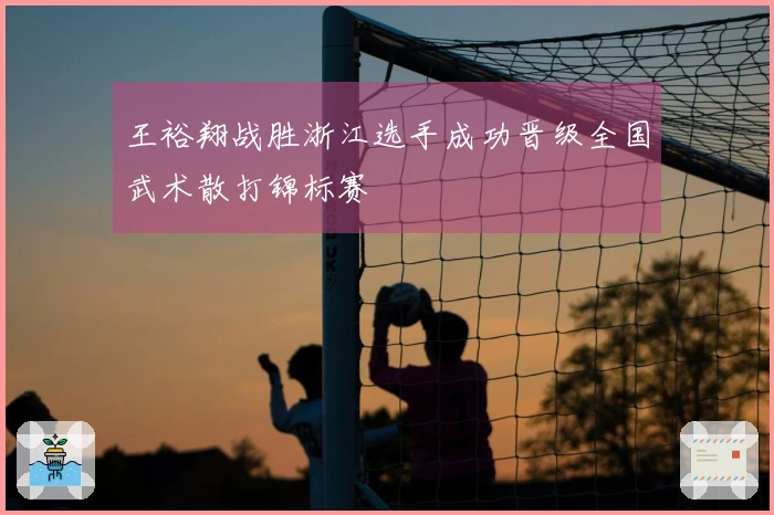 王裕翔战胜浙江选手成功晋级全国武术散打锦标赛