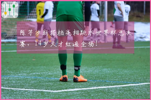 陈芋汐新搭档亮相跳水世界杯总决赛，14岁天才红遍全场！